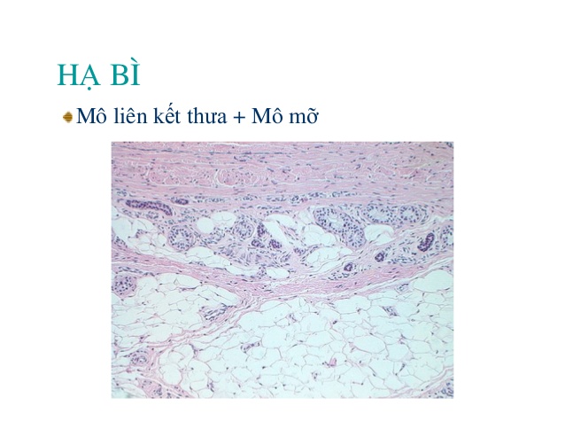 h-da-32-638
