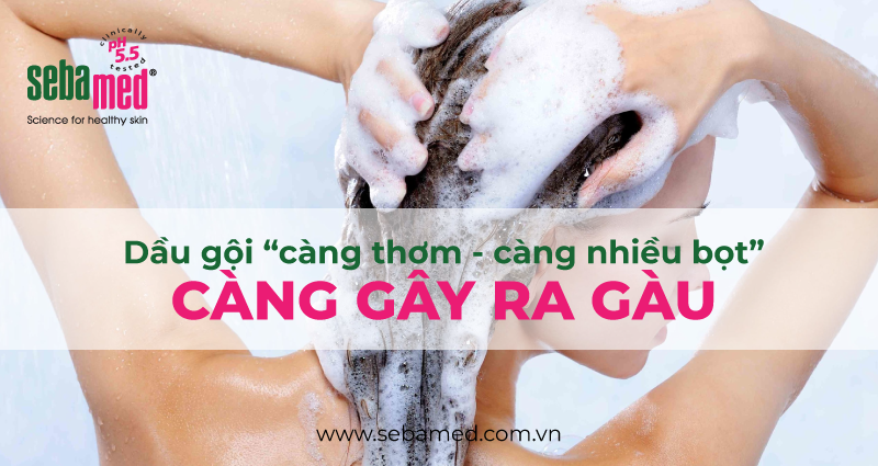 Vì sao dầu gội thơm nhiều bọt càng gây ra gàu? 1 - 1 dầu gội trị gàu