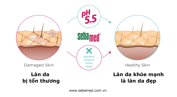 Sự tuyệt vời của độ pH 5.5 với làn da 4 - 8 To roi new sebamed tong hop san pham - 7 - Sebamed
