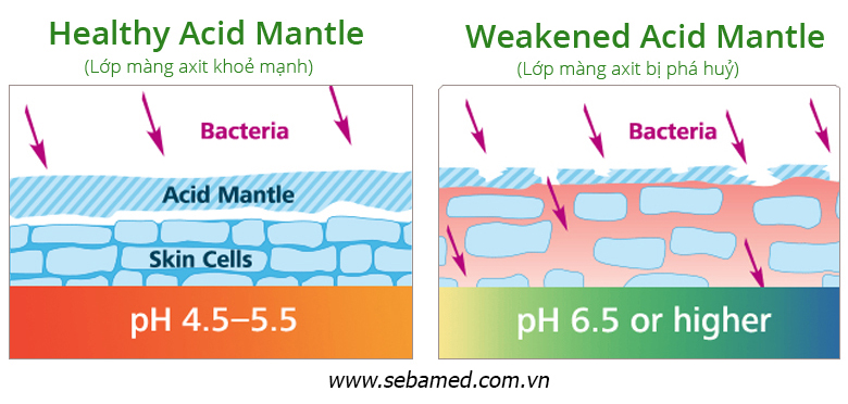 mang acid pH5 - 7 - Sebamed