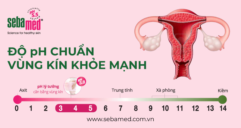 Dung dịch vệ sinh phụ nữ Sebamed pH3.8