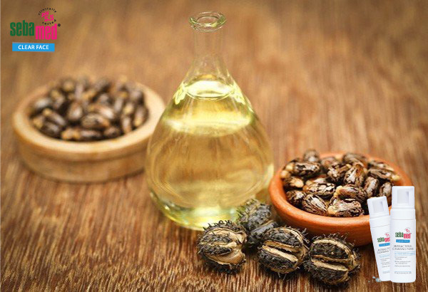 Top 5 Cách trị mụn thâm nhanh chóng, da sáng khỏe tươi tắn 6 - 6 Cách trị mụn thâm với dầu thầu dầu – www.sebamed.com.vn