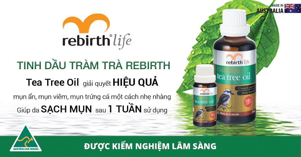 Cách trị mụn tại nhà hiệu quả nhanh nhất sau 1 đêm 4 - 4 Trị mụn bằng tinh dầu tràm trà – www.sebamed.com.vn