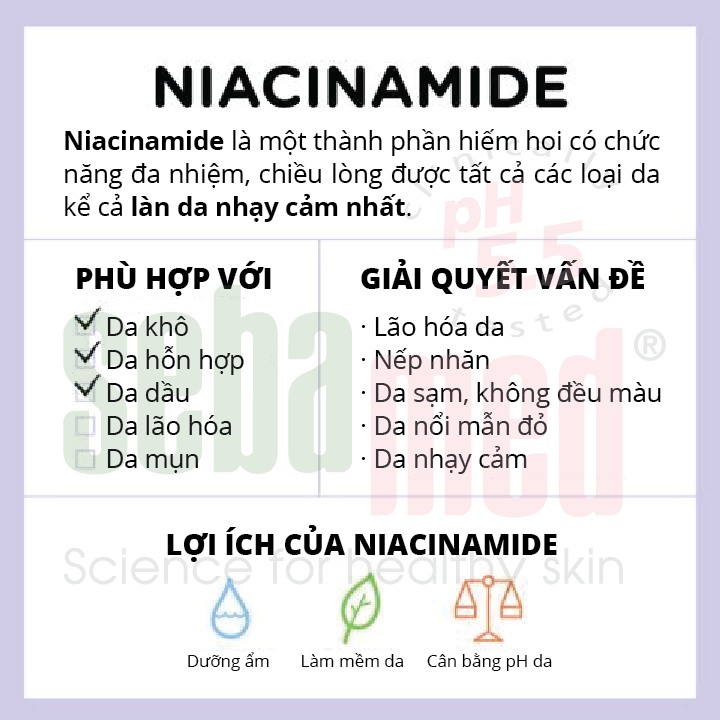 niacinamide la gi sebamed - 1 - Sebamed