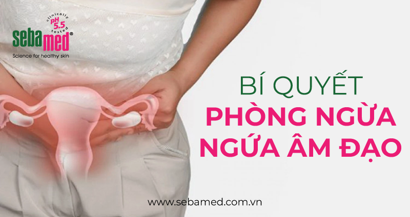 bi quyet phong ngua ngua am dao sebamed - 42 - Sebamed