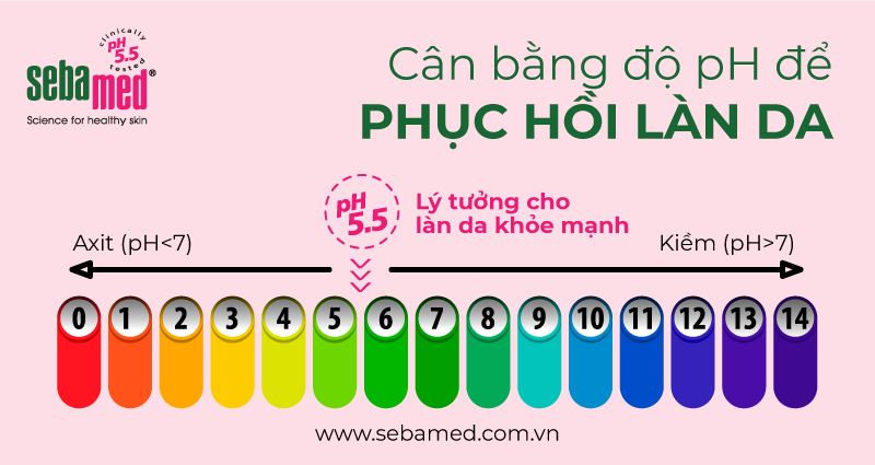 can bang do ph de phuc hoi lan da sebamed - 14 - Sebamed